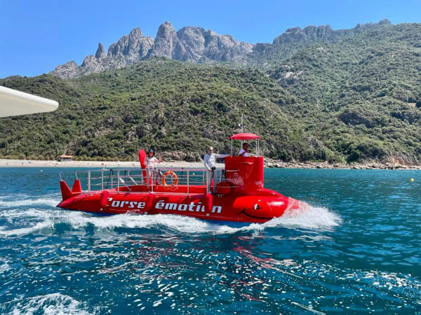Tour en semi sous-marin depuis Porto