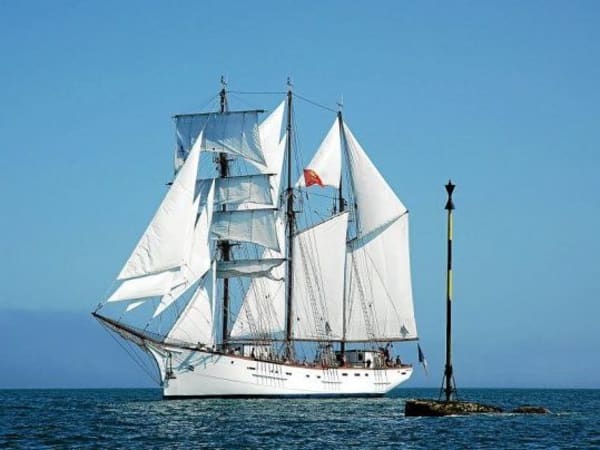 Team Building excursion sur le dernier Terre Neuvier Français