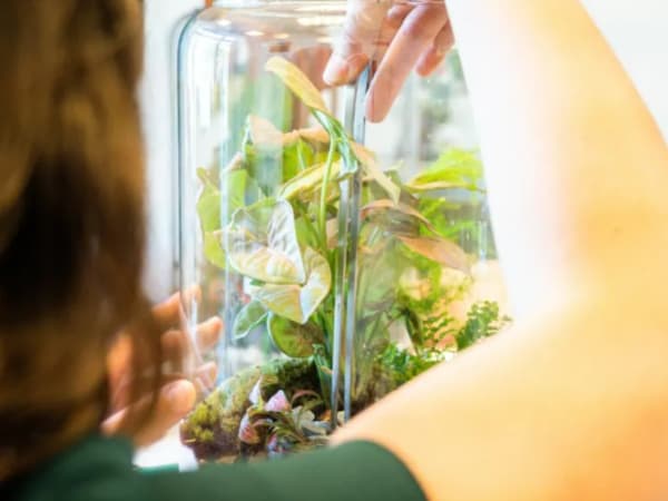 Taller de terrarios en L en Saint-Sorlin-en-Valloire (26)