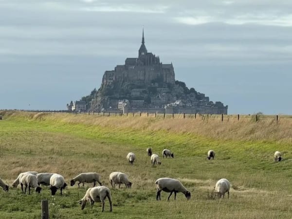 Visite en vélo & char à voile avec dégustation à Beauvoir (50)