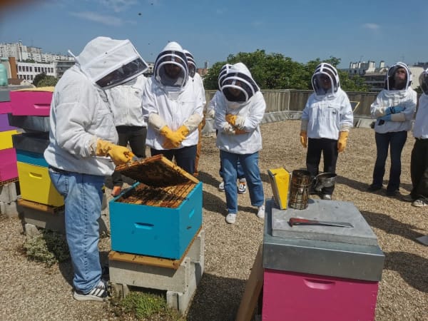Introduction to beekeeping in Montreuil (93)
