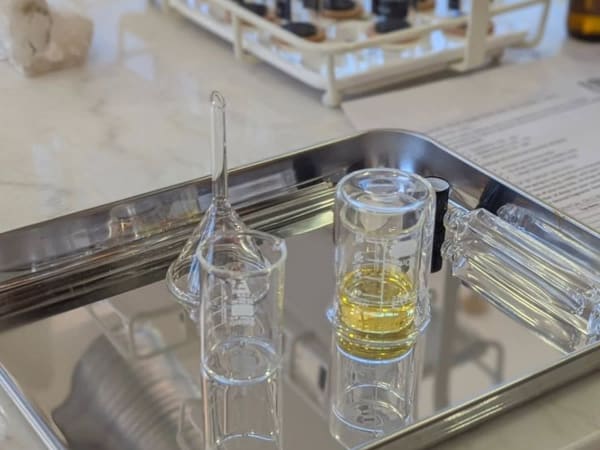 Atelier spécial EVG/EVJF création d'un parfum à domicile (72)