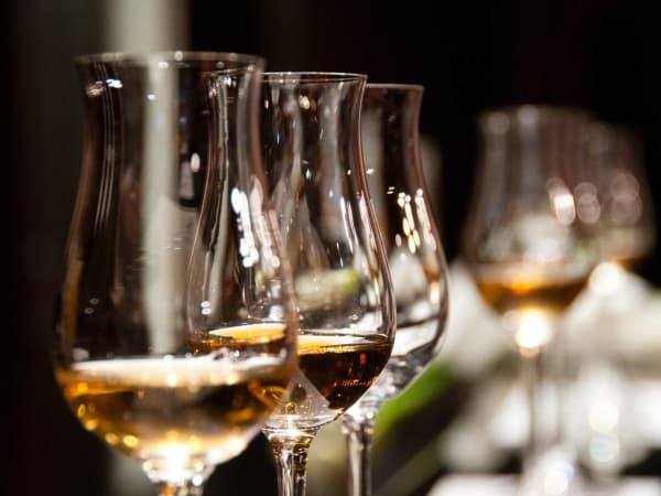 Taller de cata de ron en Rennes (35)