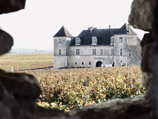 Visite & dégustation de vins en Côte de Nuit (21)