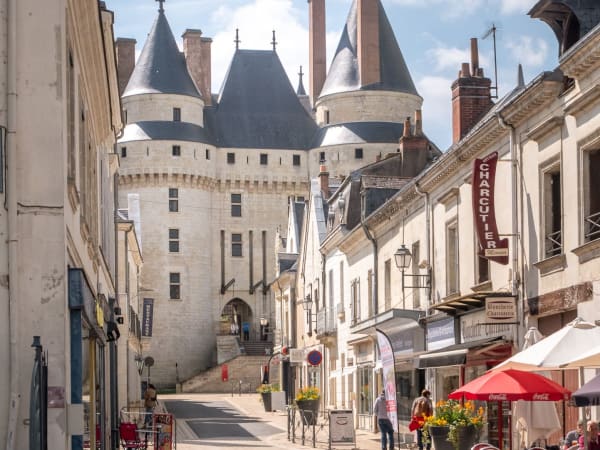 Team Building "Mission Cohésion" à Langeais (37)