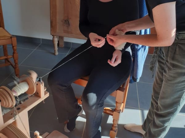 Immersion à la ferme & transformation de la laine à Chaussy 