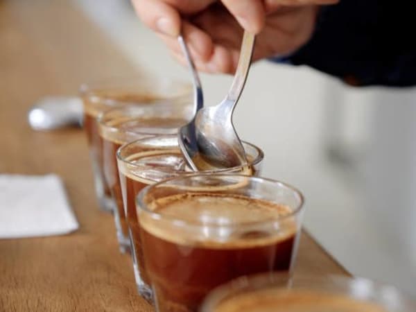 Atelier d'initiation à la caféologie & espressologie à Paris