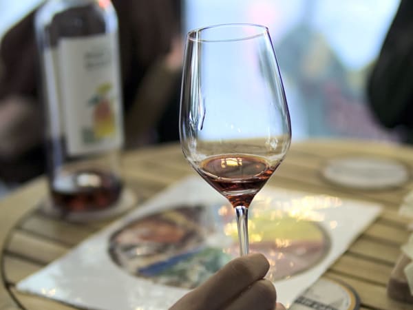  Les Couleurs du Vin" wine workshop in Bordeaux (33)