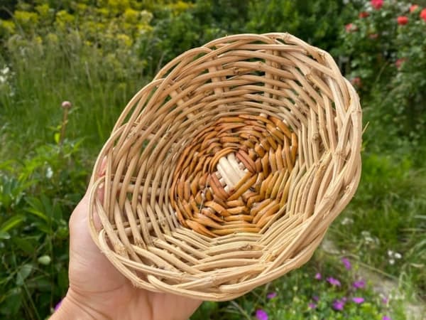 Atelier initiation à la vannerie à Aix-en-Provence (13)