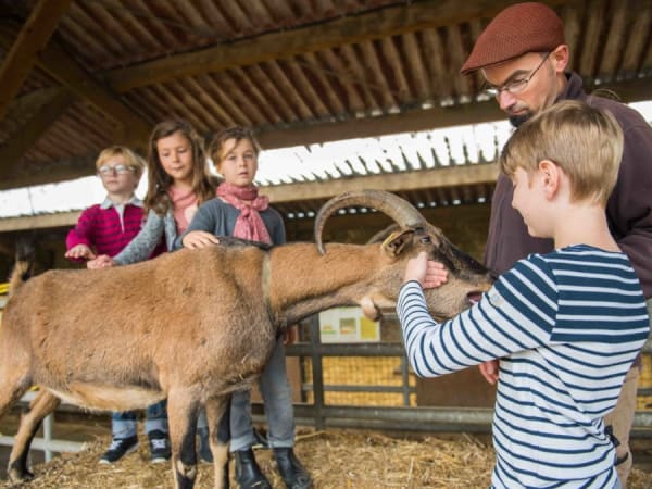Anniversaire 5-12 ans à la Ferme de Gally de Saint-Denis