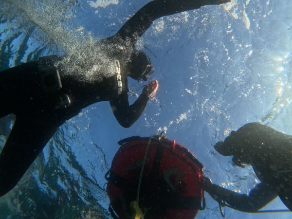 Private underwater snorkeling in Groix (56)