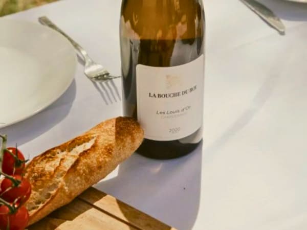 Découverte des travaux de la vigne à Davron (78)