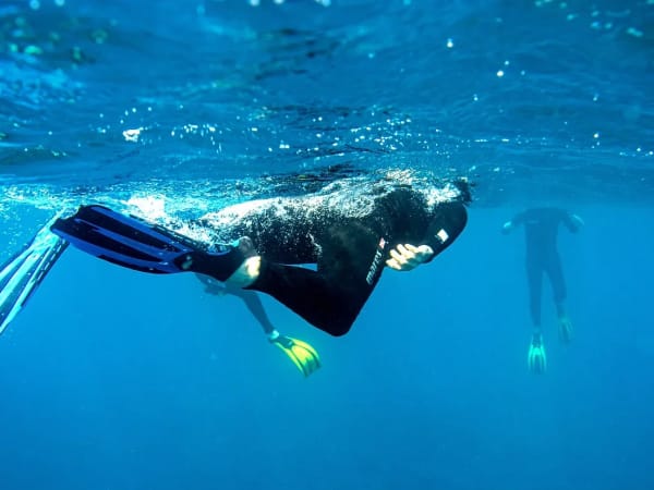 Snorkeling sur barrière de corail de la Réunion depuis Saint-Leu