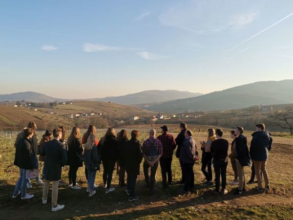 Treasure hunt in the vineyards at Lantignié (69)