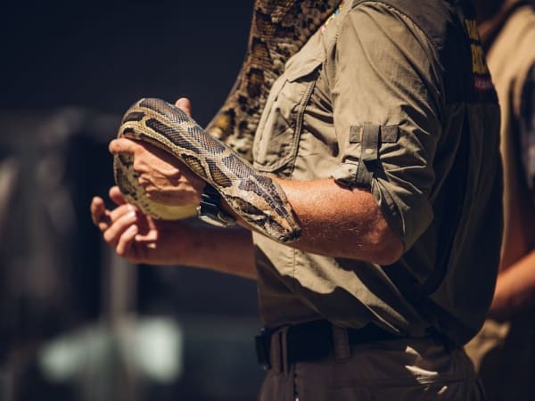 Planet Exotica à Royan (17)