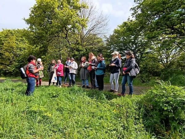 Team building découverte des plantes sauvage comestible (35)