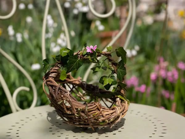 Initiation à la vannerie sauvage à Paris 19ème