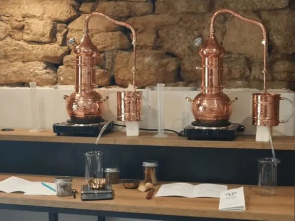 Atelier Distillation de votre gin à Quimper (29)