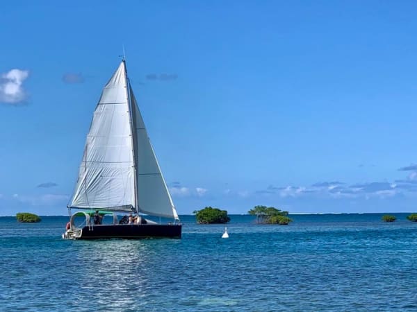 Excursion en bateau à voile en Guadeloupe depuis Baie-Mahault