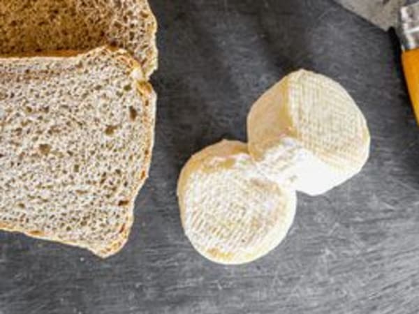 Taller de elaboración de queso de oveja de granja (09)