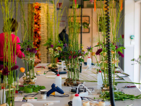 Team Building Végétal au Campus de la Mouillère à Orléans (45)