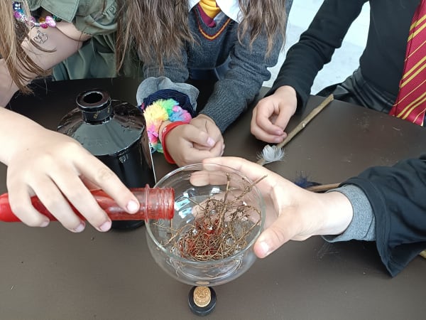 Anniversaire 4-12 ans Harry Potter à domicile - Alpes-Maritimes