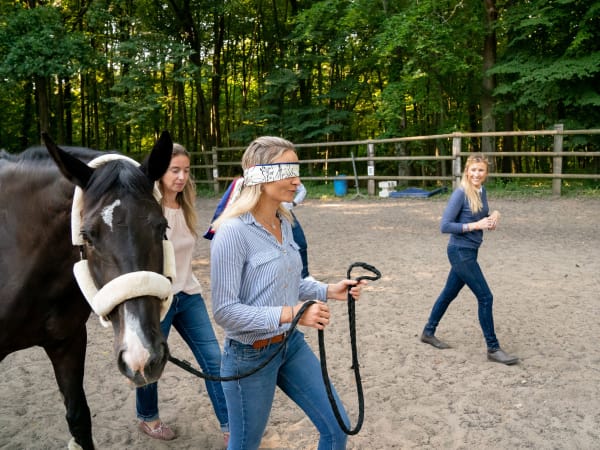 Team Building Equi-coaching à Senlis (60)