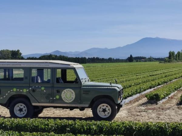 Safari viticole en Land Rover à Sarrians (84)