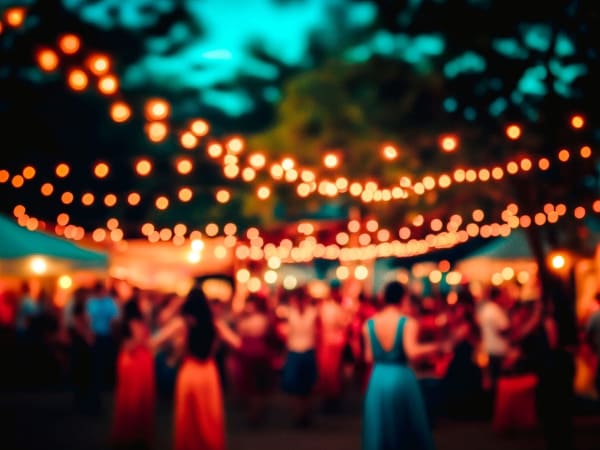 Animation Guinguette Party