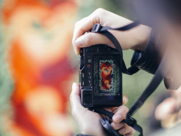 Recorrido fotográfico "Le Secret de la Mouzaïa" en el distrito 1