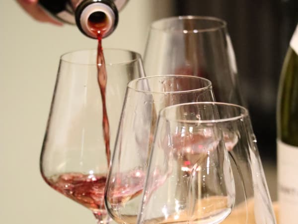 Visite & dégustation de vins en Côte de Beaune (21)