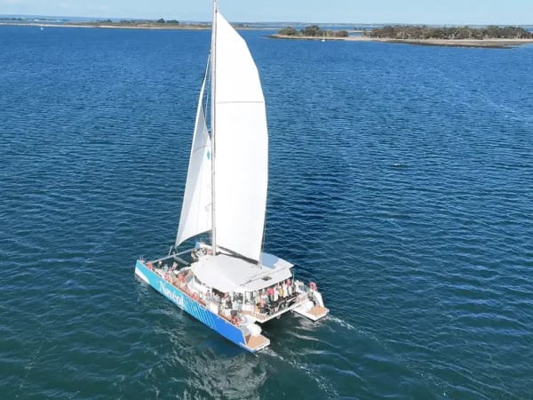 Brunch à bord d'un catamaran à Vannes (56)