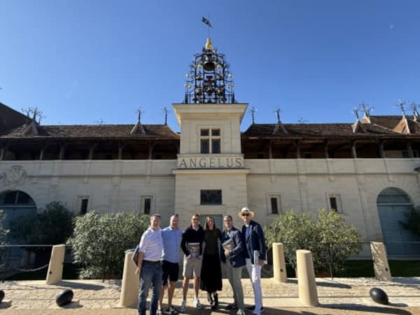 Visite guidée du village médiéval et château à Saint-Émilion 