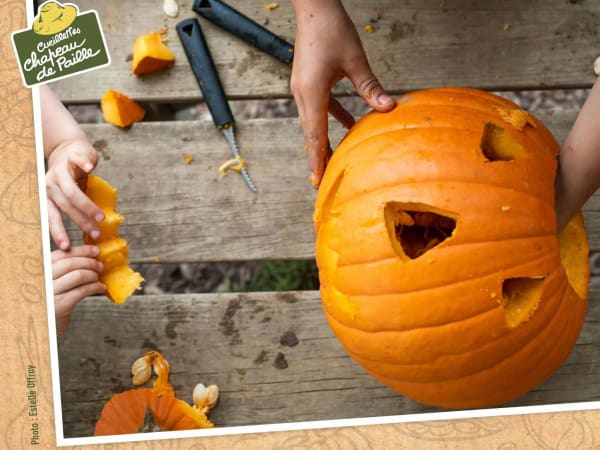 Pumpkin picking workshop at Mareuil sur Lay (85)