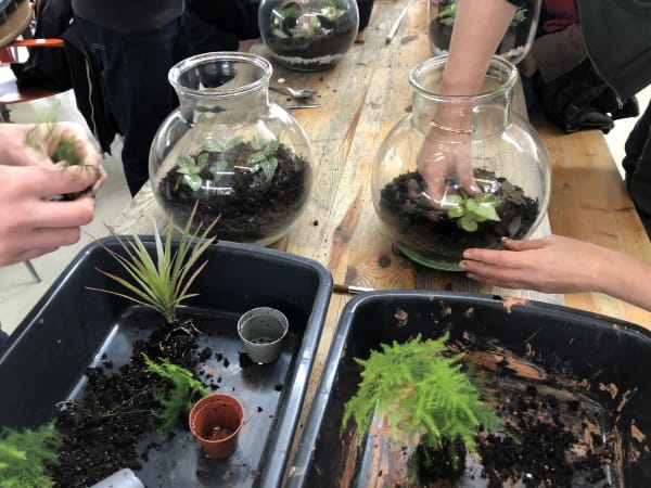 Atelier "Je crée mon terrarium" à Villejuif
