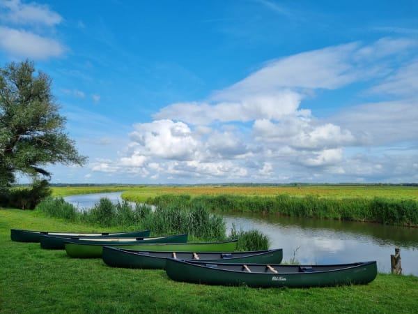 Location de canoë de 2 à 4 heures à Picauville (50)