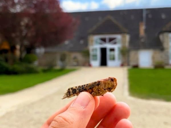 Team Building missions RSE à Strasbourg  (67)