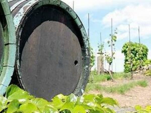 Winegrower's Escapade" half-day trip from Lyon (69)