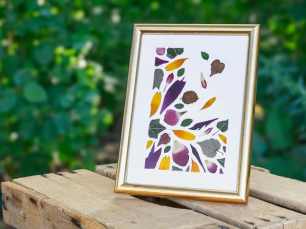 Atelier création d'un herbier à Strasbourg (67)