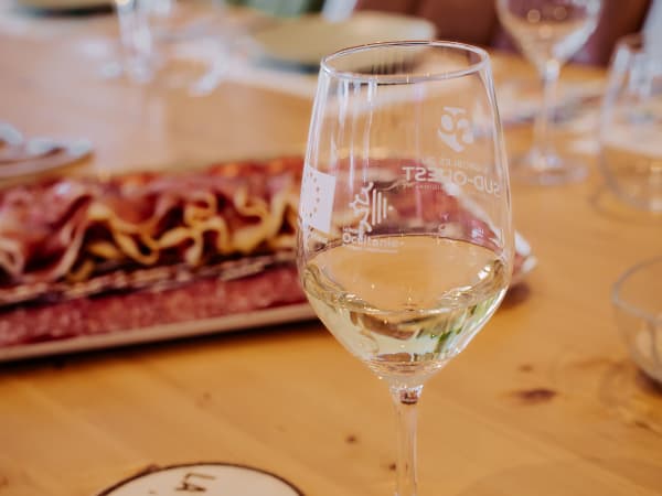 Introducción a la cata de vinos del Suroeste en Toulouse