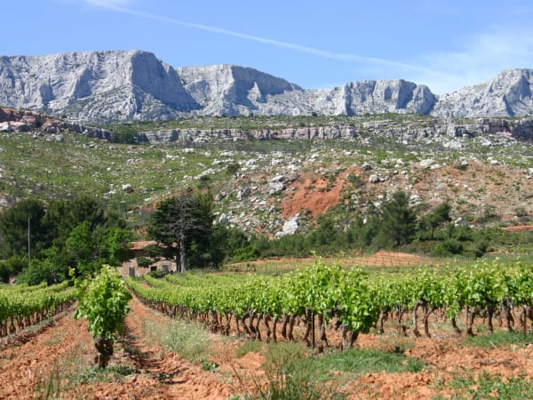 Visite et dégustation du domaine à Rousset (13)
