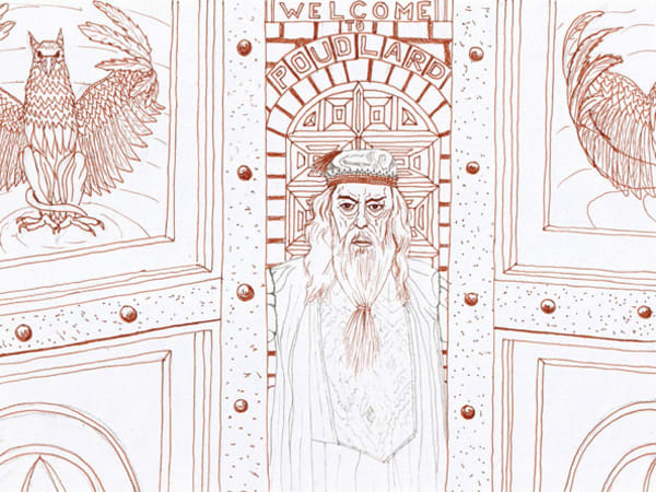 Anniversaire Harry Potter 8-12 ans à domicile (33)