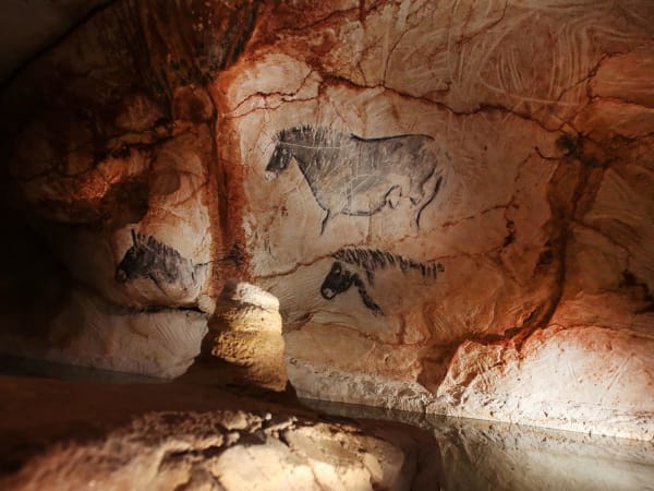 Entrada para visitar Cosquer Méditerranée en Marsella (13)