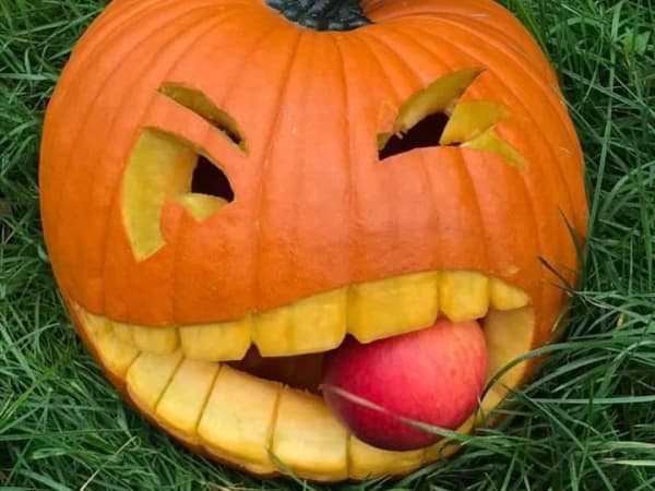 Atelier citrouilles sculptées  à la Cueillette de Servigny (77)