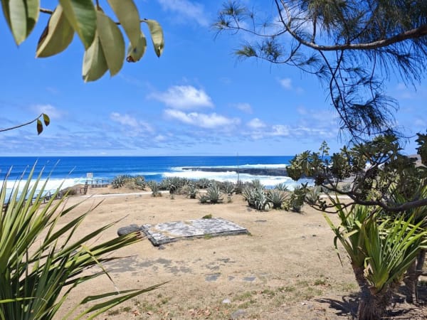 Visite en trottinette électrique à Saint-Pierre (974)