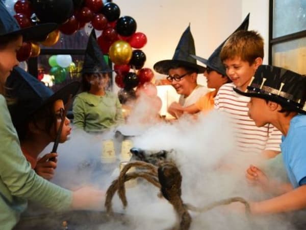 Anniversaire sciences "Harry Potter" 5 à 15 ans à domicile