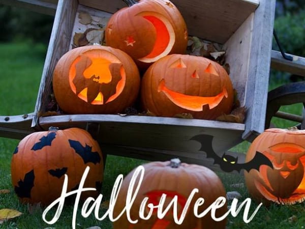 Children's Halloween pumpkin workshop at Truffaut Creil (60)