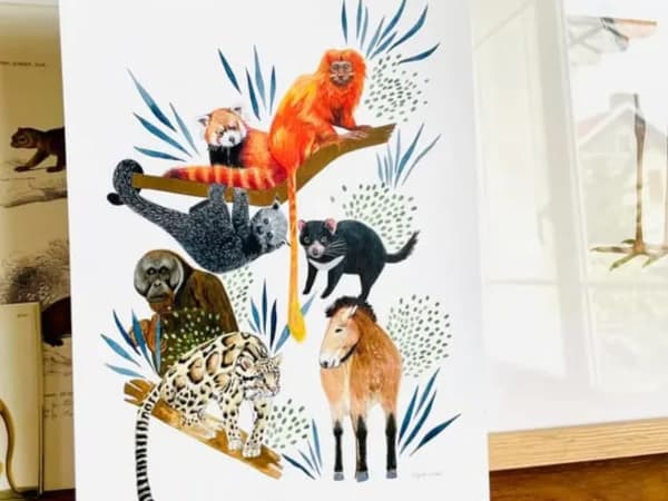 Cours de dessin à Paris 6ème