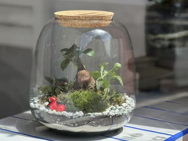 Terrarium workshop in Lagny-sur-Marne (77)