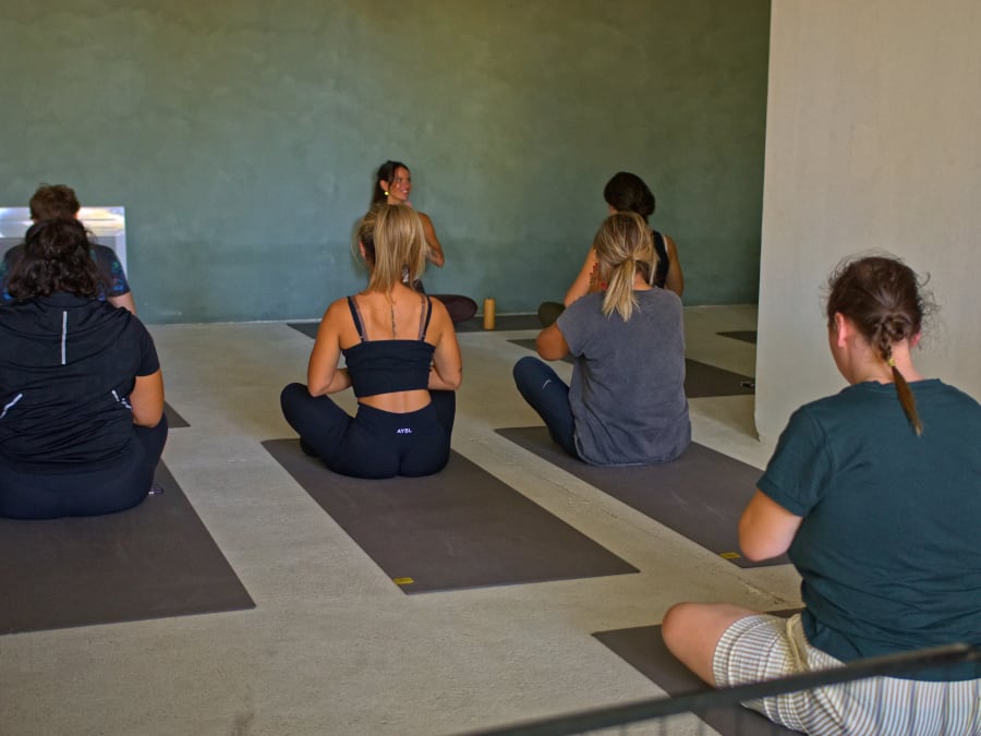 Puppy Yoga im 8. Arrondissement von Lyon